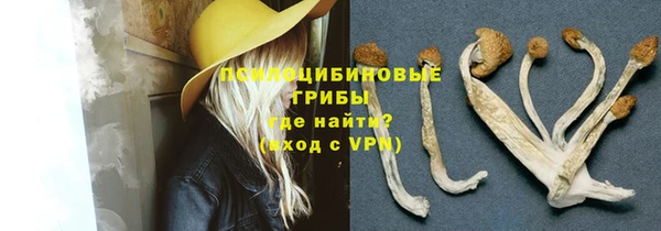 MDMA Premium VHQ Заводоуковск