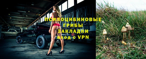 a pvp Фёдоровский