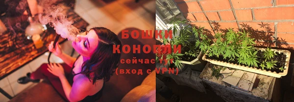 гидра Зеленокумск