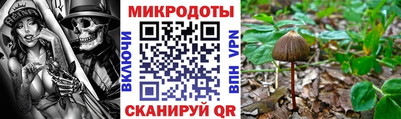 Псилоцибиновые грибы ЛСД  Старица 